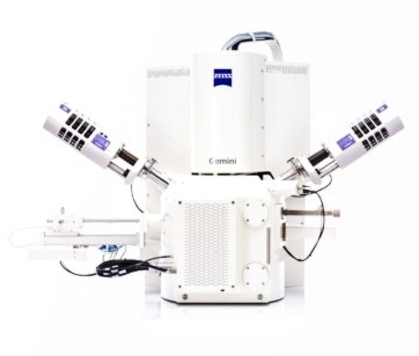 蔡司场发射扫描电镜Sigma系列