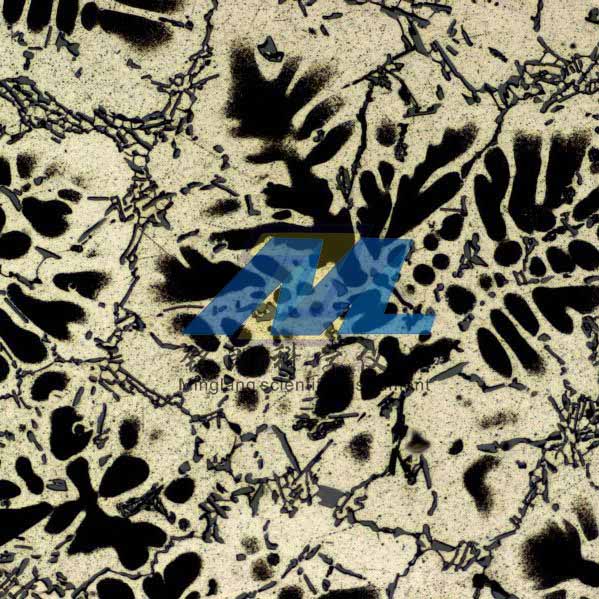 1676103145208261.jpg 202211070903063931.jpg